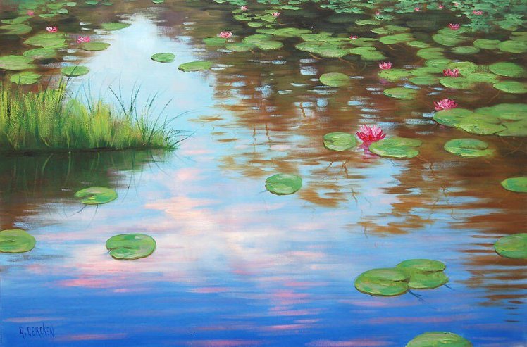 art-water-lilies-graham-gercken